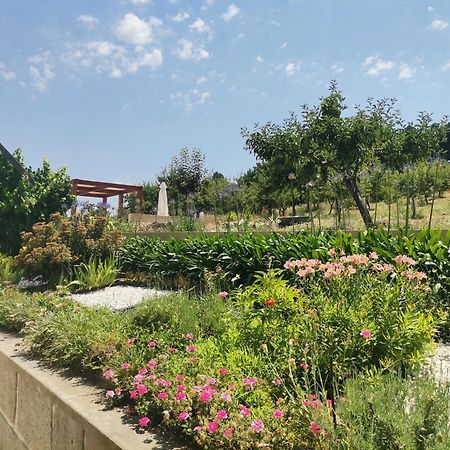Гостевой дом Quinta Do Retiro Felgar Экстерьер фото